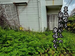 草萌ゆる庭の向かふの廃墟かな