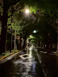 アスファルト黒く光らせ穀雨かな