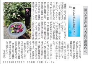 限りなき色あり香あり薔薇の花