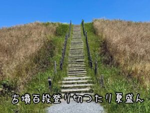 古墳百段登り切つたり夏盛ん