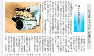 街守るカメラの上に燕の巣