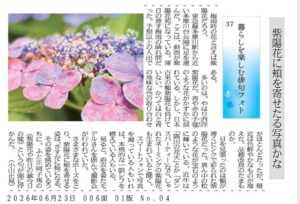 紫陽花に頬を寄せたる写真かな