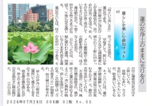 蓮の花浄土のままに光りをり