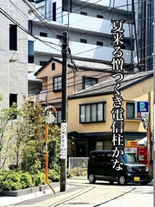 夏来る憎つくき電信柱かな