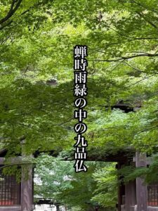 蝉時雨緑の中の九品仏