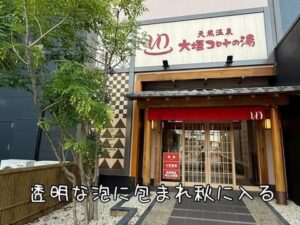 透明な泡に包まれ秋に入る